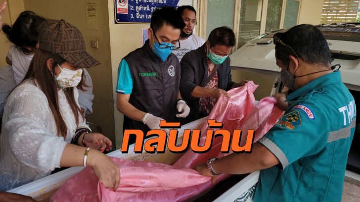 พิพา