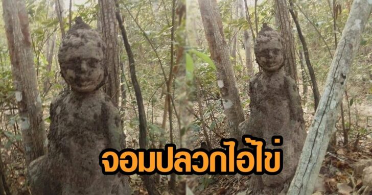 ภาพนำ จอมปลวก