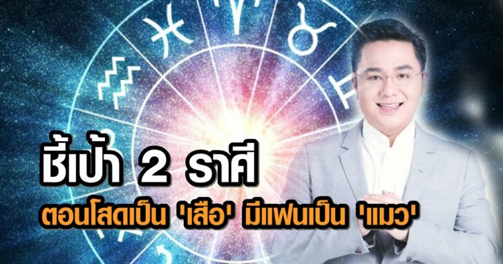 หมอช้าง 1200+630++451632