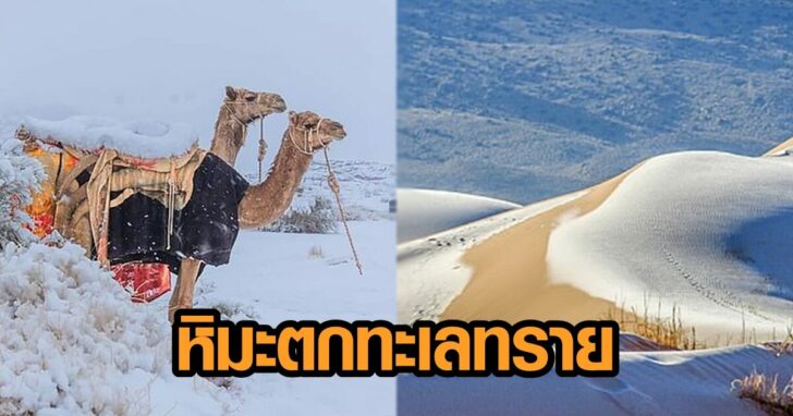 หิมะตก ภาพนำ