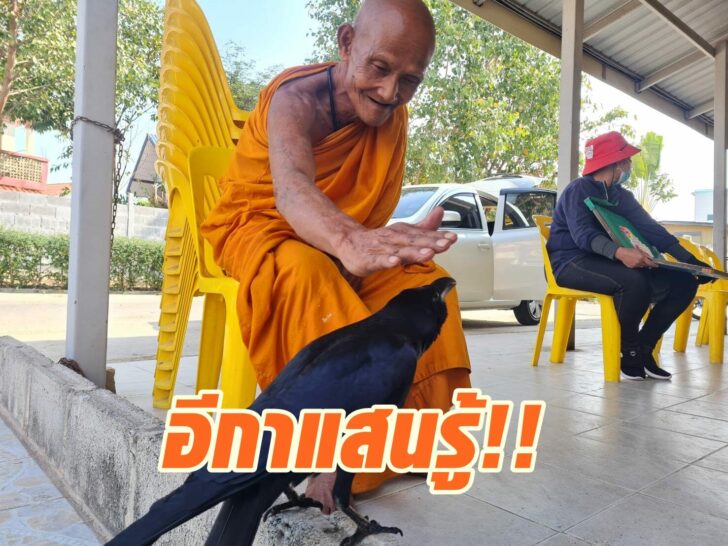 อีกา4