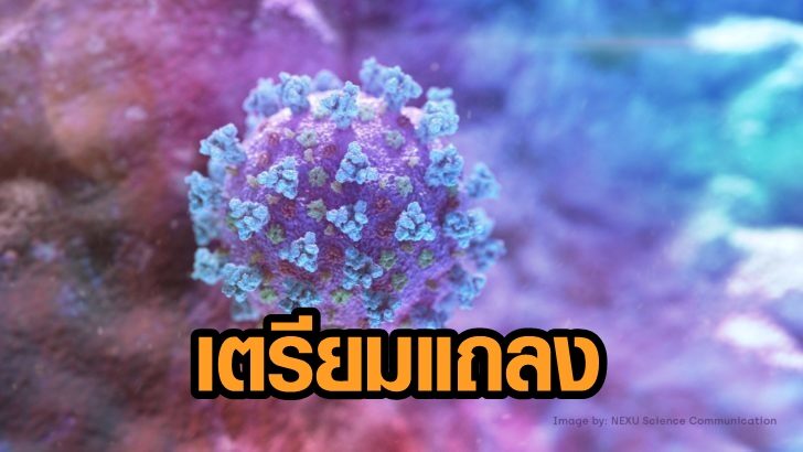 เชื้อไวรัสโคโรนา-2019-ไวรัสโควิด-19