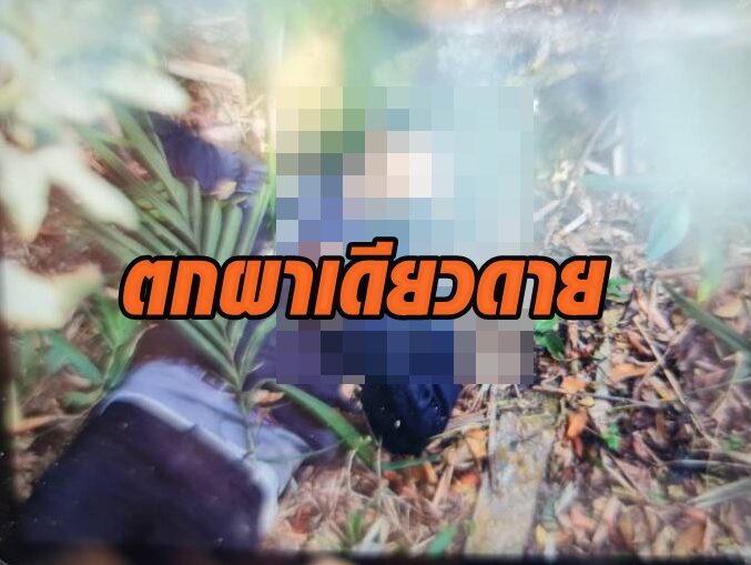 เดียวดาย