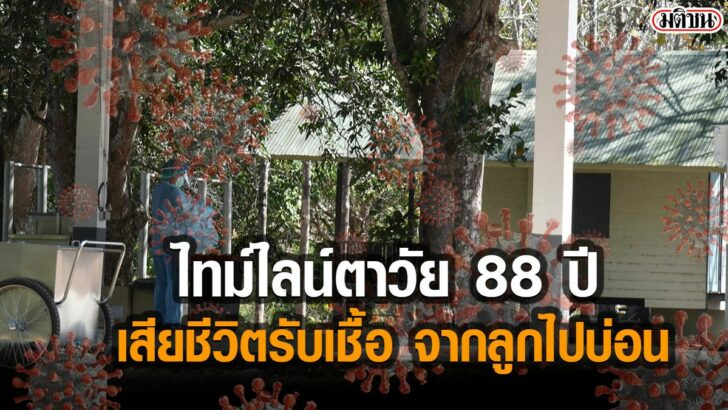 โควืด56565632