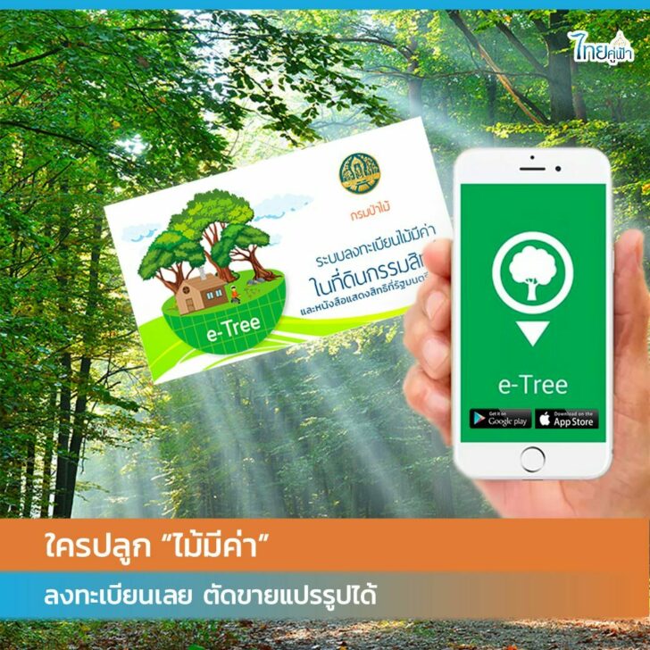 ไม้มีค่า
