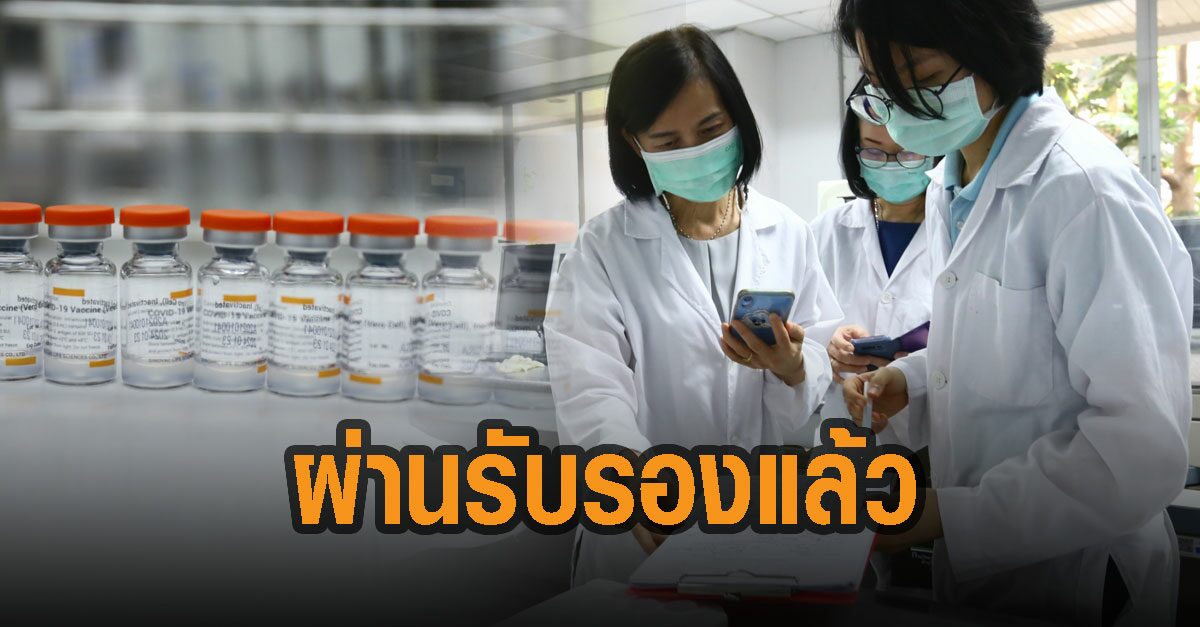 กรมวิทย์ฯเผย วัคซีนซิโนแวค ผ่านการตรวจสอบ-รับรองแล้ว