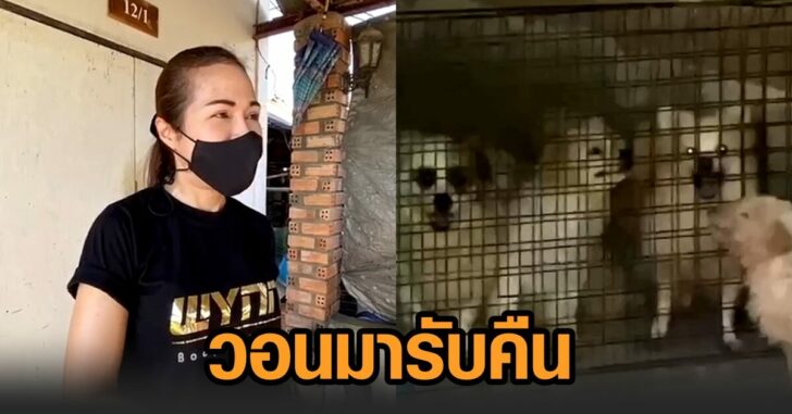 ทิ้งหมา-วอนรับคืน