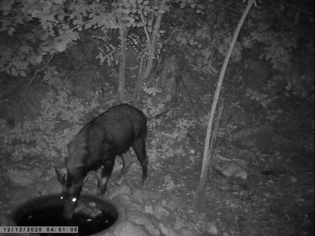 This image is not belong to us