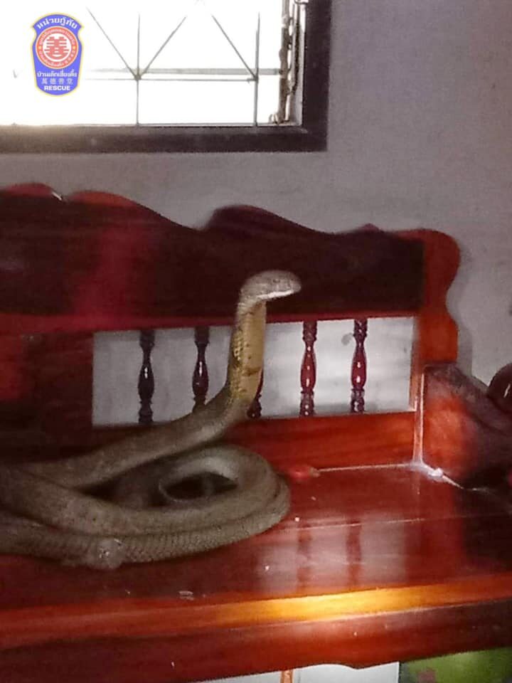 This image is not belong to us