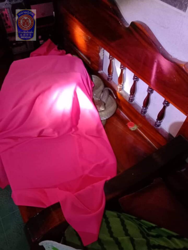 This image is not belong to us