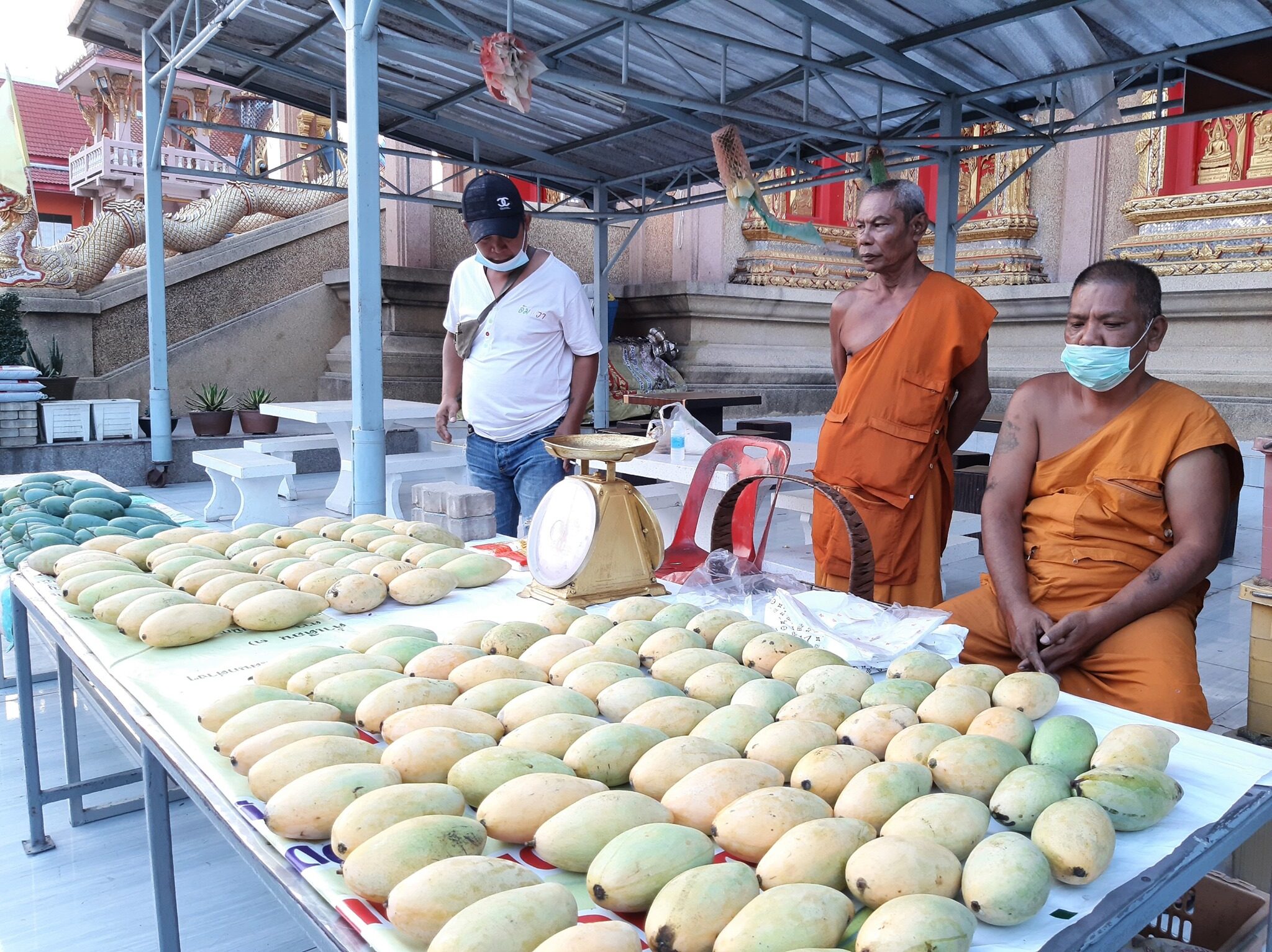 This image is not belong to us