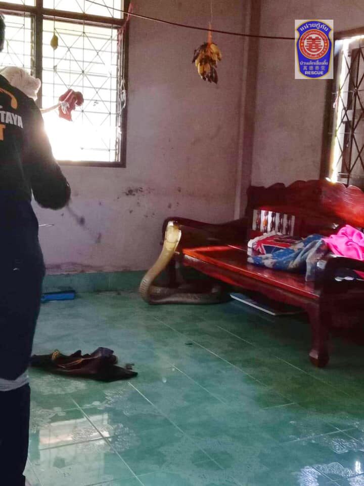 This image is not belong to us