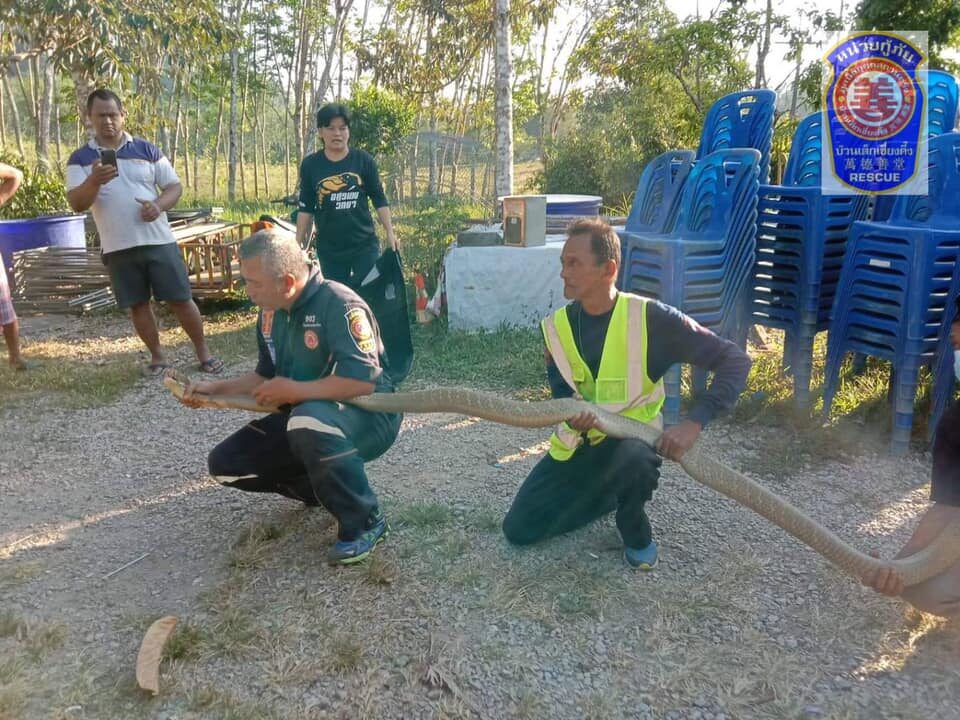 This image is not belong to us