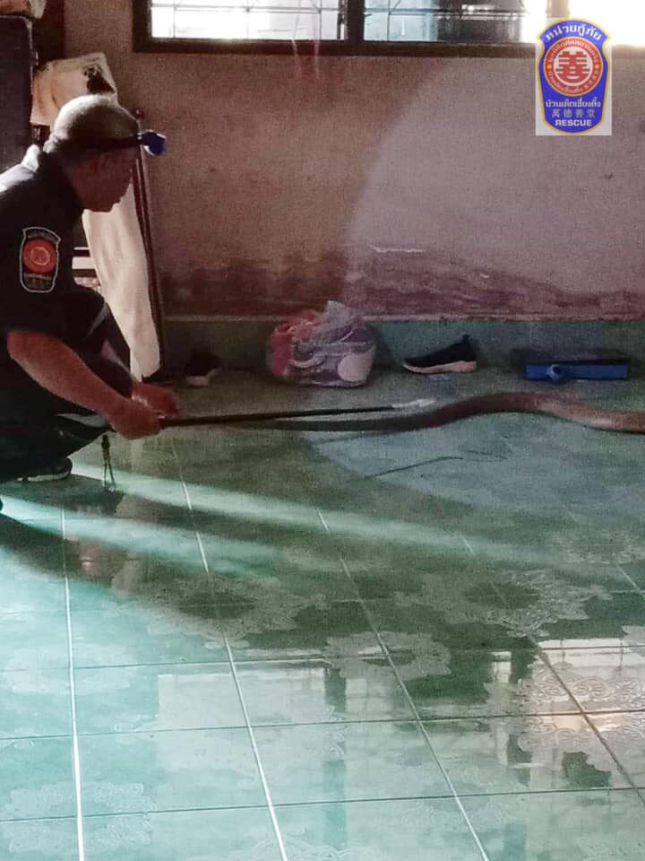 This image is not belong to us