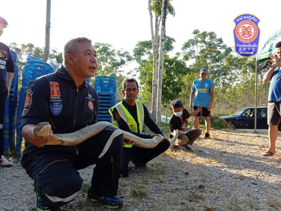 This image is not belong to us