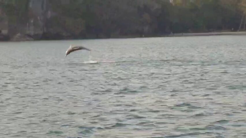 This image is not belong to us