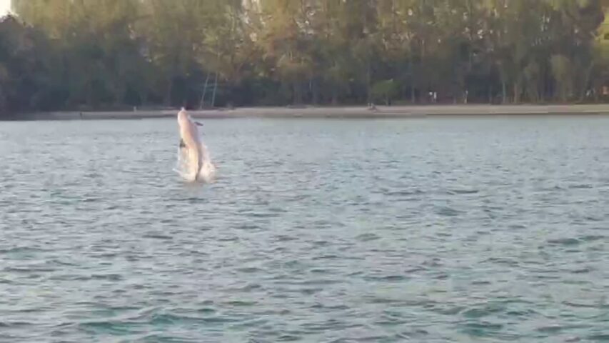 This image is not belong to us