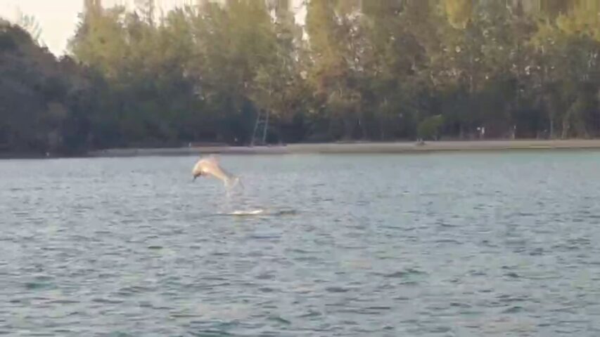 This image is not belong to us