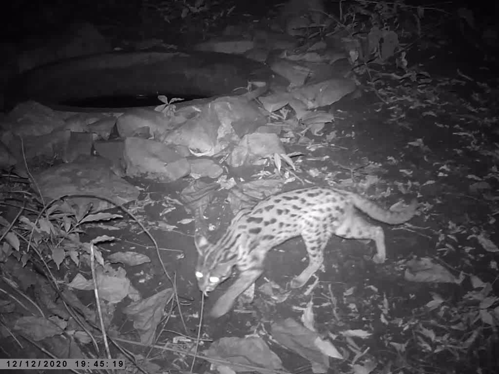 This image is not belong to us