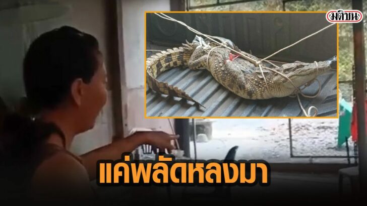 39รวนี