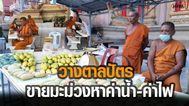 This image is not belong to us