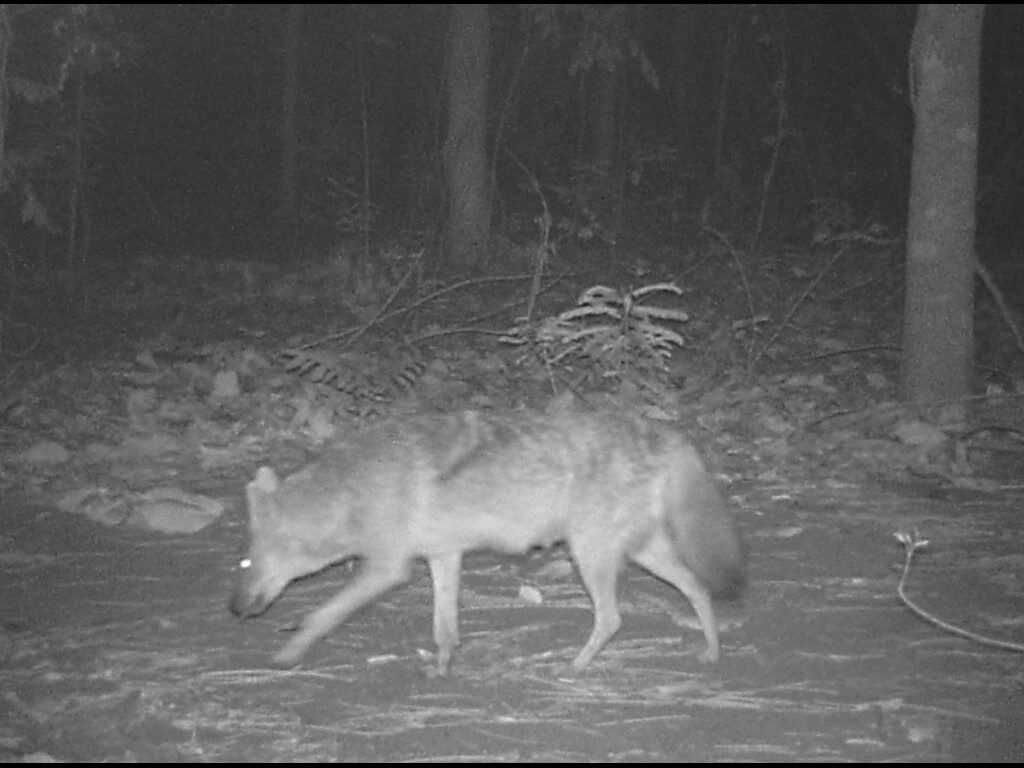 This image is not belong to us