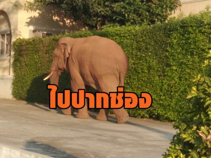 7616