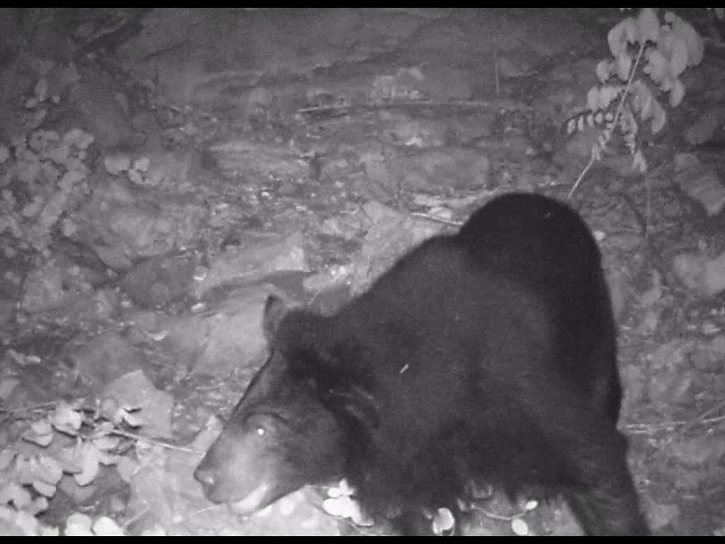 This image is not belong to us