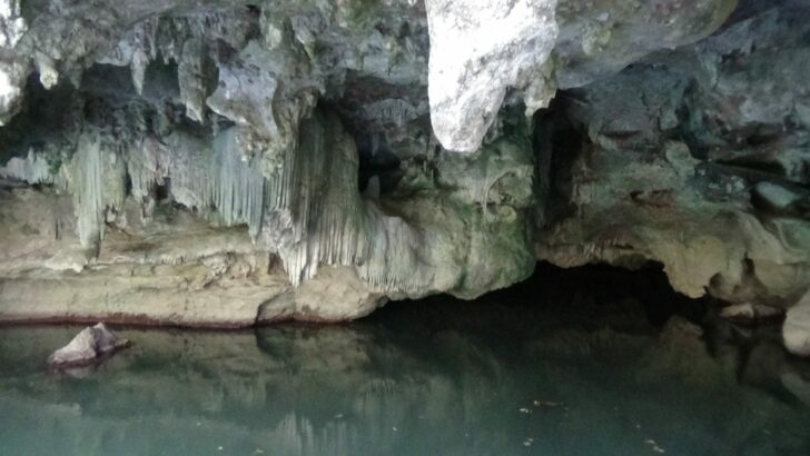 DSC01971 This image is not belong to us