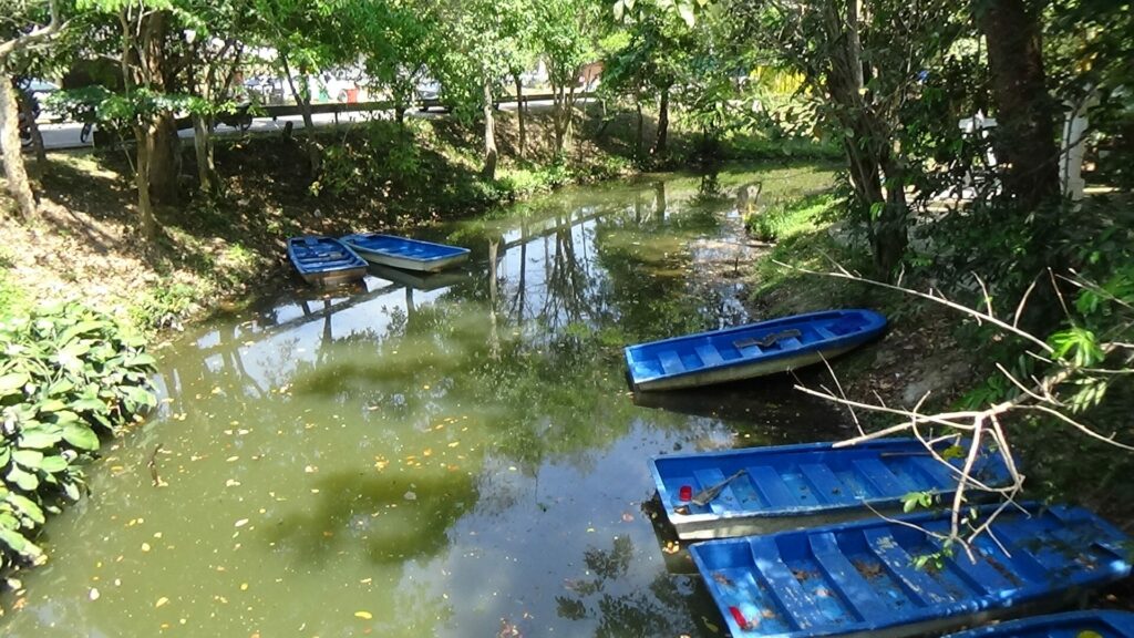 This image is not belong to us