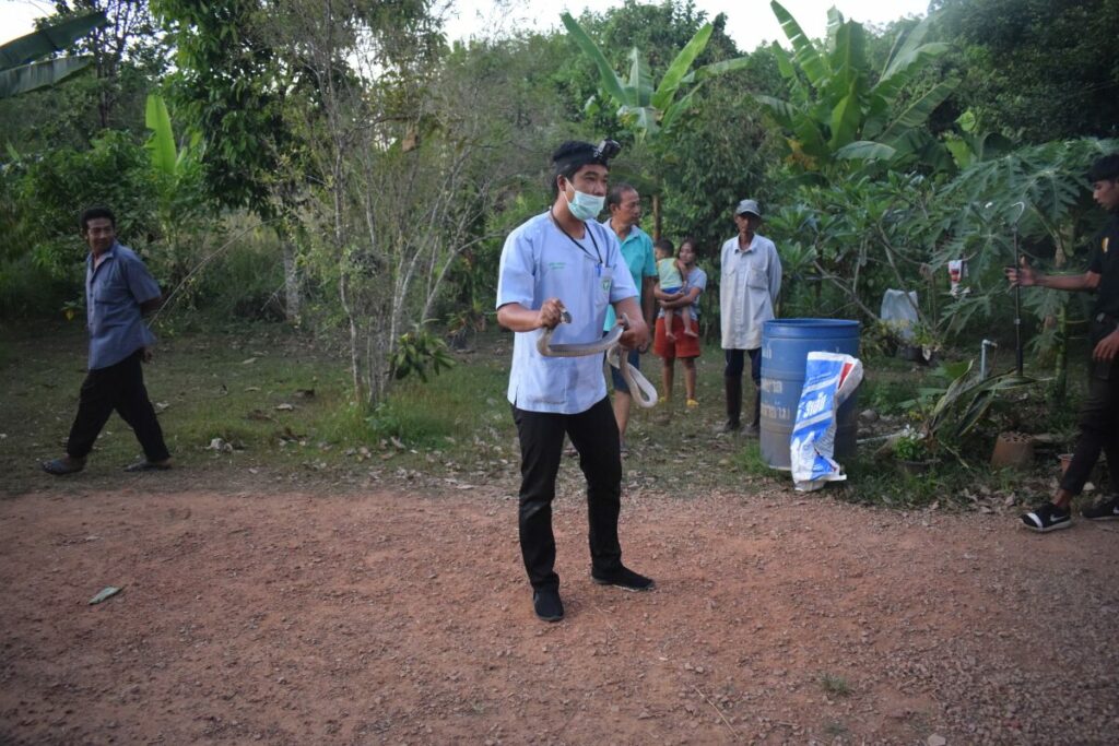 This image is not belong to us