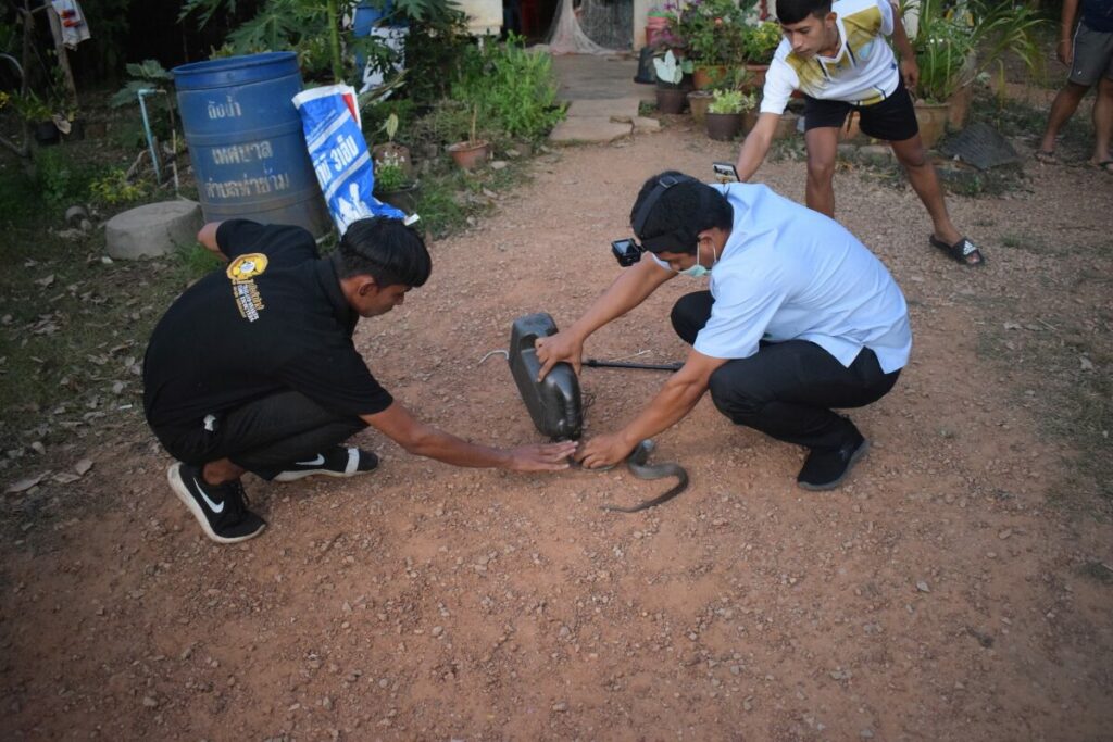 This image is not belong to us