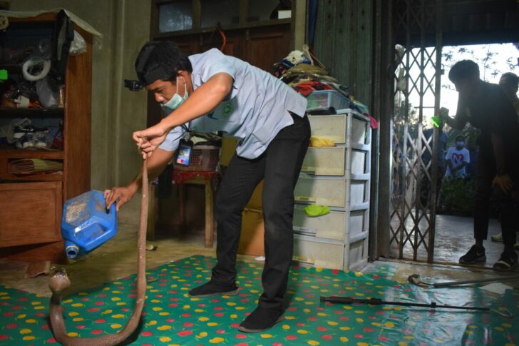 DSC_0412 This image is not belong to us