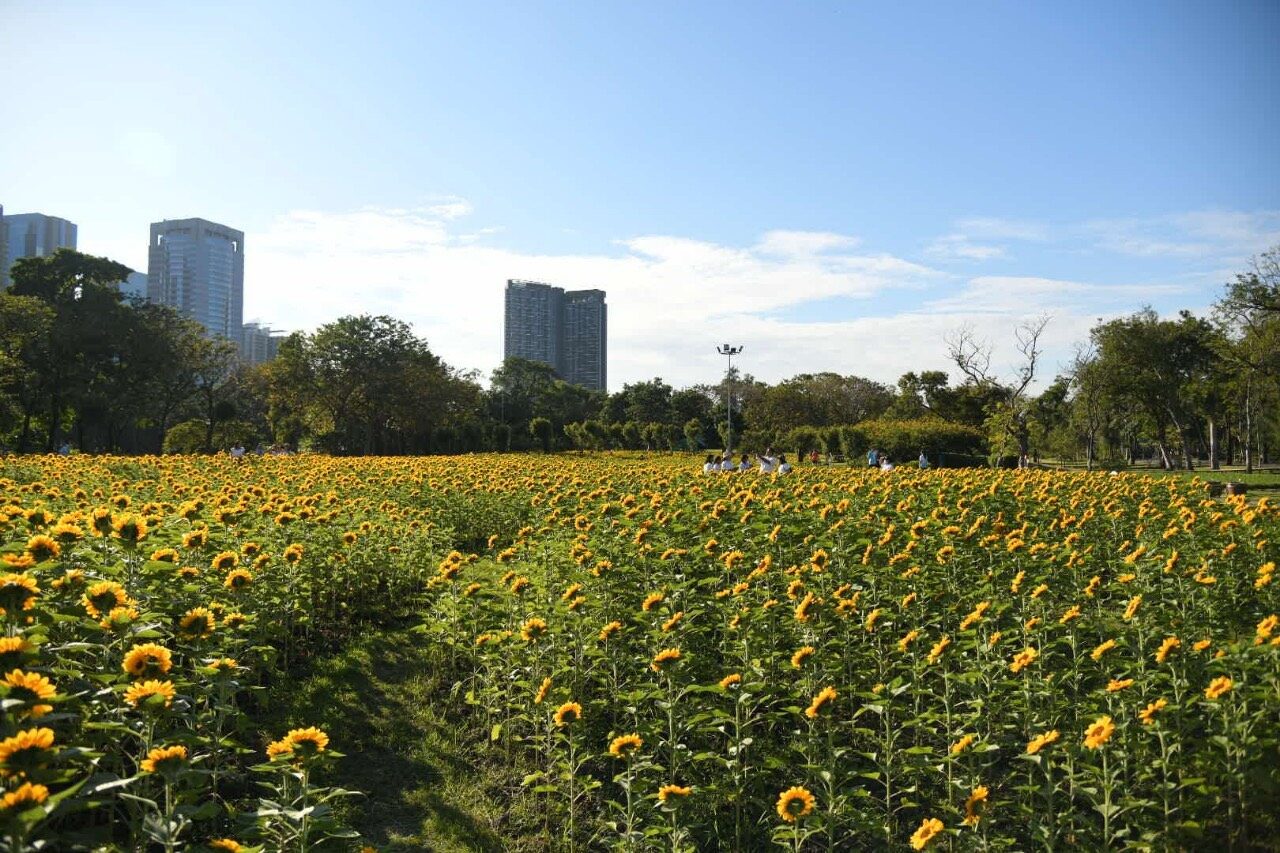 This image is not belong to us