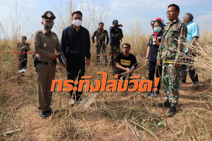 กระทิง1