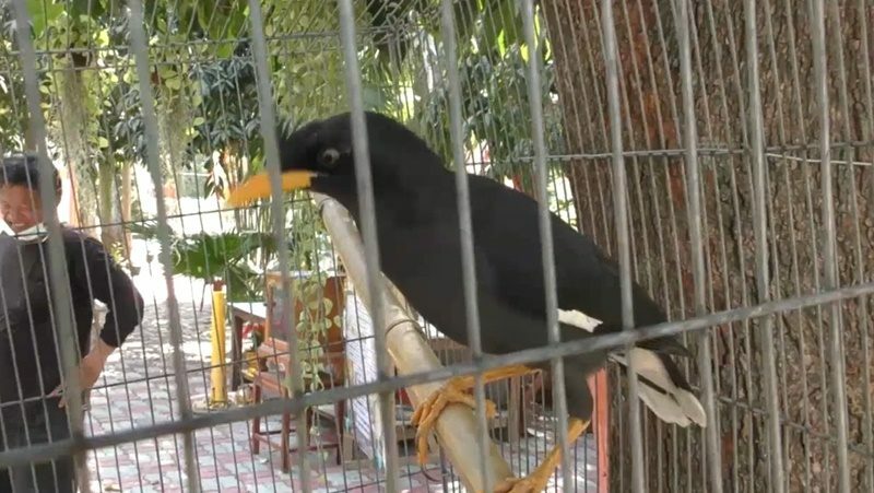 This image is not belong to us