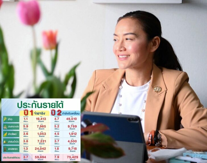 ประกันรายได้