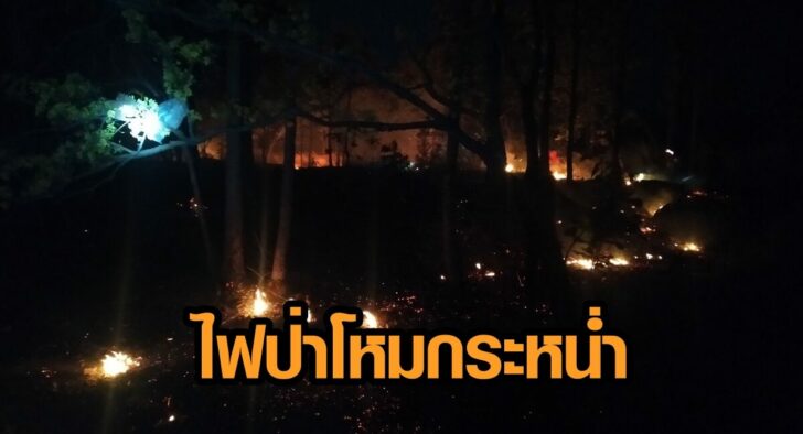 ภาพนำ ไฟป่า