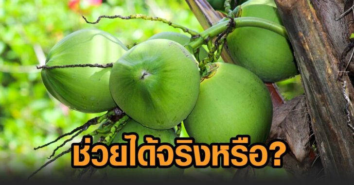 มะพร้าว-สมรรถภาพทางเพศ