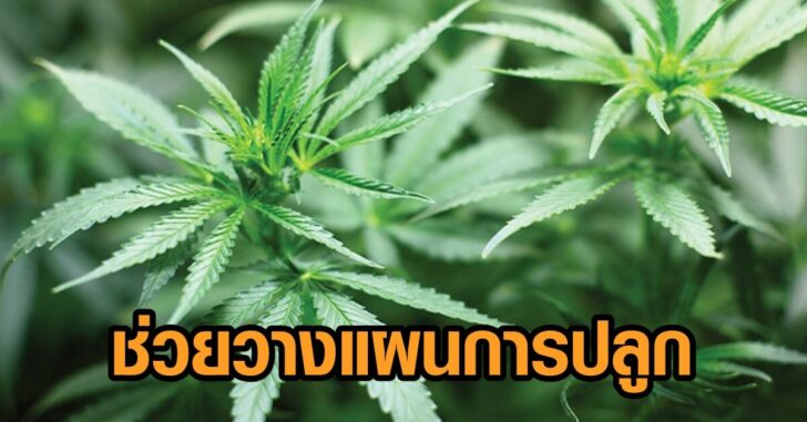 ระบบช่วยวางแผน
