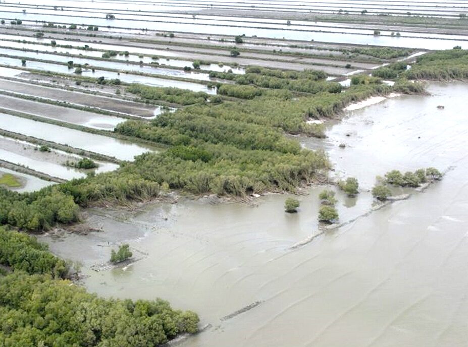 บางขุนเทียน จอมทอง และบางบอน