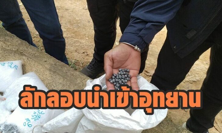 ลูกกระสุน