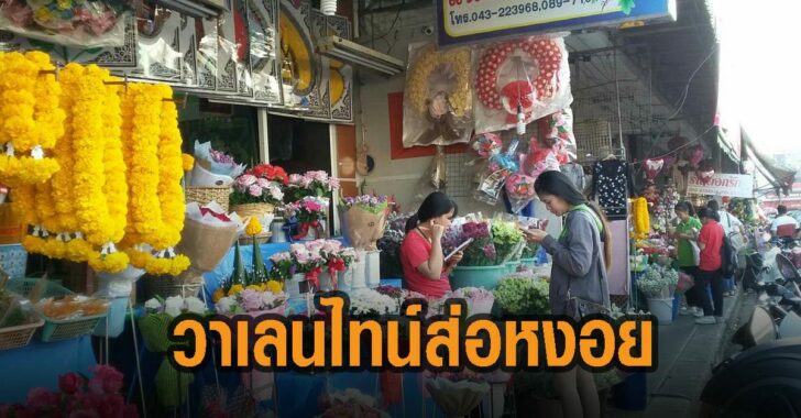 วาเลนไทน์ส่อหงอย-64