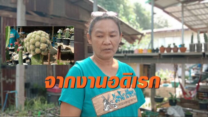 สาวโคราช