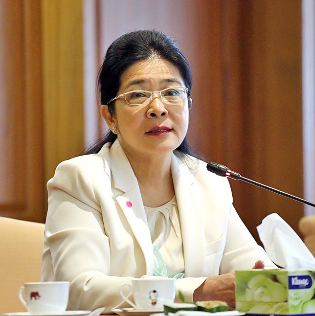 รายงานหน้า 2 : ‘สุดารัตน์’ปั้น‘กลุ่มสร้างไทย’‘สร้างพลังคนตัวเล็ก’