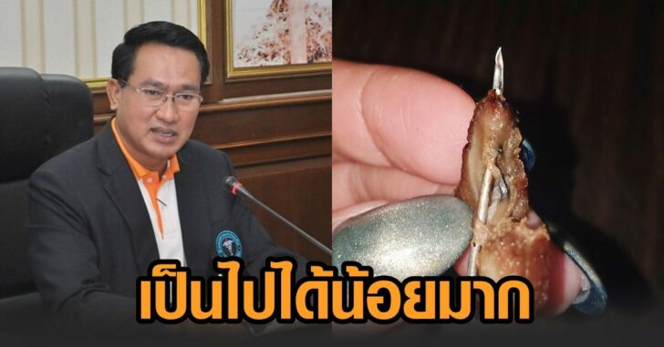 หมู-เข็ม