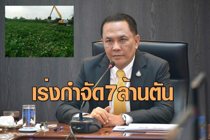 อธิบดีประพิศ