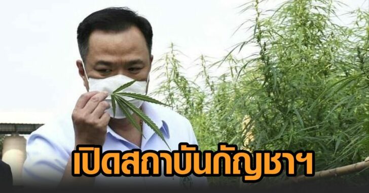 อนุทิน-สถาบันกัญชา