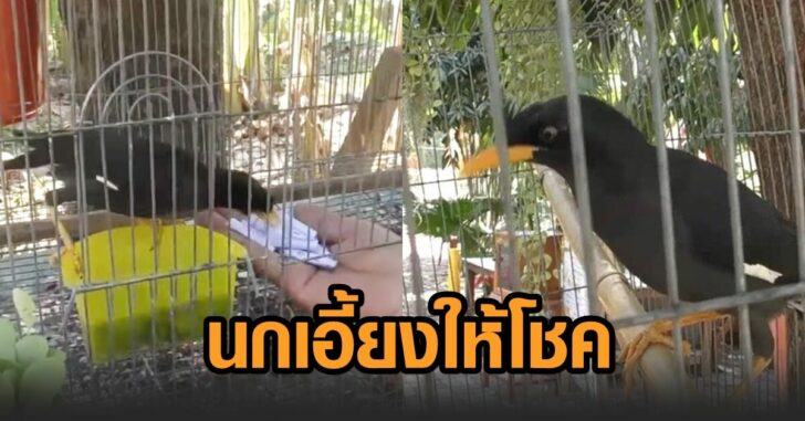 This image is not belong to us