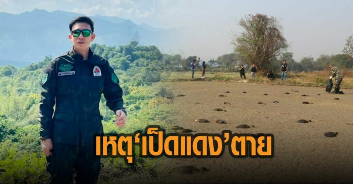 เผยเหตุเป็ดแดงตายเกลือน-หมอล็อต